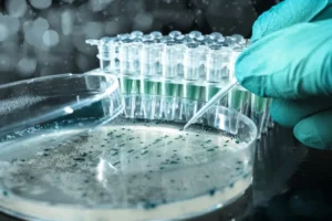 Biotech Sector
